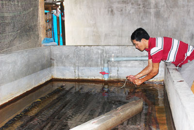 Vốn ít, lời nhiều