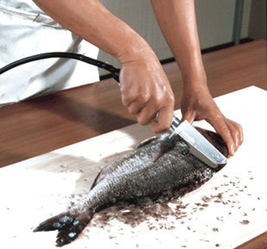 Mách bạn cách bảo quản cá tươi lâu