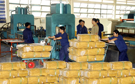 Dự kiến điều chỉnh thuế xuất khẩu cao su còn 0%