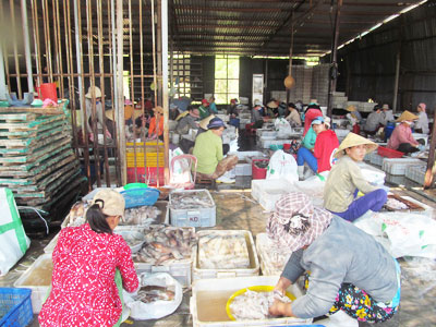 Xưởng chế biến thủy sản gây ô nhiễm.