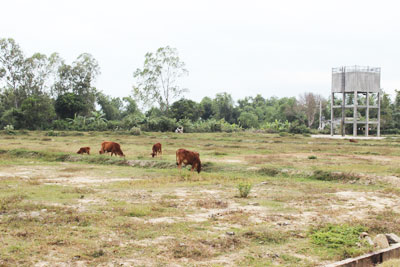 Người dân vẫn chưa sản xuất