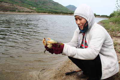 Mang lại hiệu quả