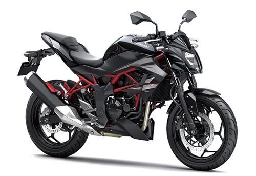 Kawasaki ra mắt Z250SL - đối thủ của Honda CB250F