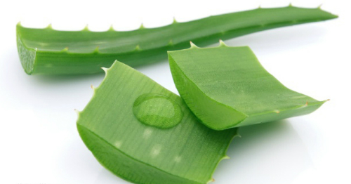 4 công dụng tuyệt vời của nha đam