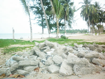 Xà bần đổ nơi bãi biển