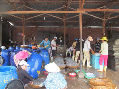 Xã Phước Đồng (TP. Nha Trang): Ô nhiễm và thiếu nước sạch