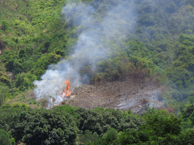 Cần ngăn cấm nạn đốt rừng làm rẫy
