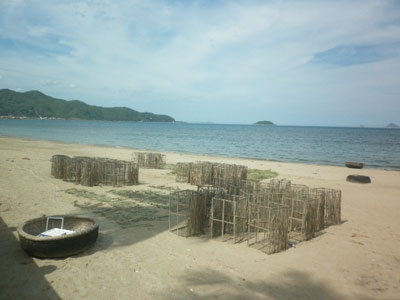 Bãi biển làm kho chứa?