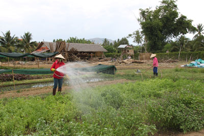 Dự án Khu du lịch sinh thái Làng Tre chậm tiến độ do nhiều hộ dân vẫn chưa bàn giao mặt bằng.