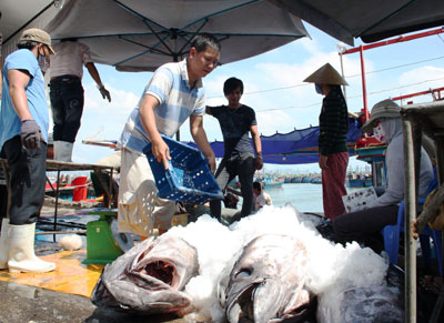 Ngư dân đưa cá lên cảng Hòn Rớ để bán.