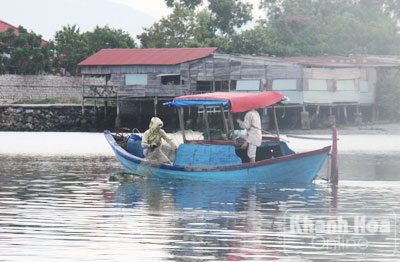 Tận diệt… trên đầm Thủy Triều