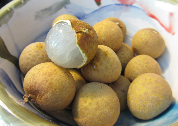 Những lợi ích tuyệt vời của nhãn