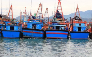 Khánh Hòa: Gần 80 ngư dân đăng ký vay vốn đóng tàu mới