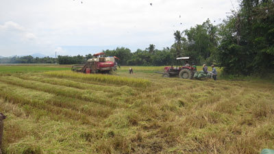 Máy của Tổ liên kết cơ giới nông nghiệp xã Ninh Phụng đang thu hoạch lúa cho người dân.