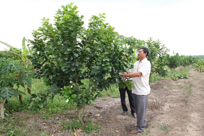 Những người gương mẫu đi đầu