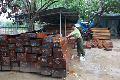 Khánh Vĩnh quyết liệt ngăn nạn phá rừng