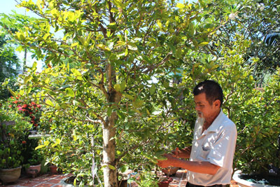 Liên kết để phát triển