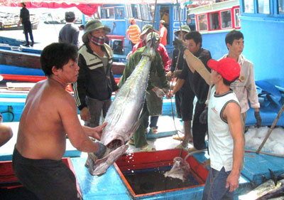 An toàn lao động trên tàu cá: Cần được quan tâm đúng mức