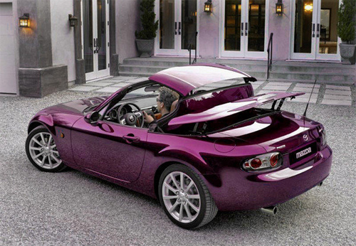 Những mẫu xe lý tưởng cho mùa mưa