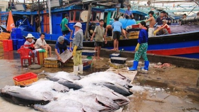 Hỗ trợ ngư dân tiếp cận vốn vay theo Nghị định 67