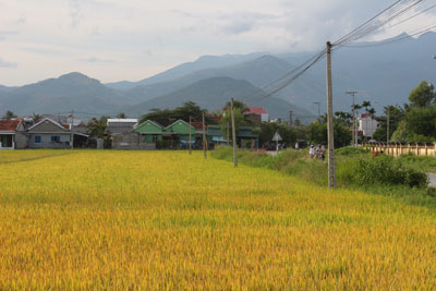 Nhiều chuyển biến khả quan