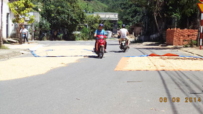 Phơi bắp trên đường