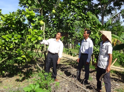 Cựu chiến binh làm kinh tế giỏi