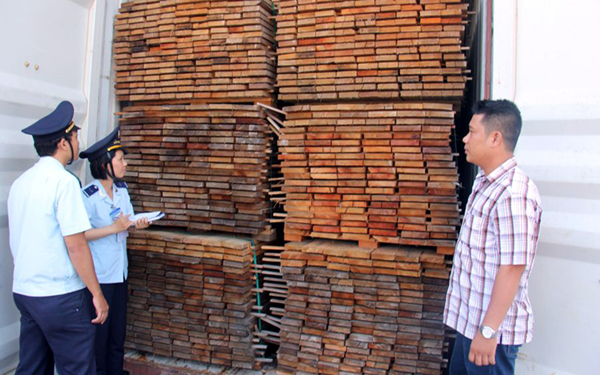 Kiểm dịch thực vật trước khi nhập khẩu vào Việt Nam