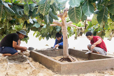 Hoạt động hè 2014: Thiết thực và hiệu quả