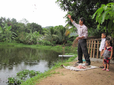 Ông Hoa cho cá chim hồng ăn.