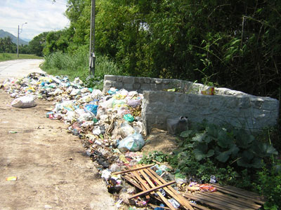 Đổ rác bừa bãi