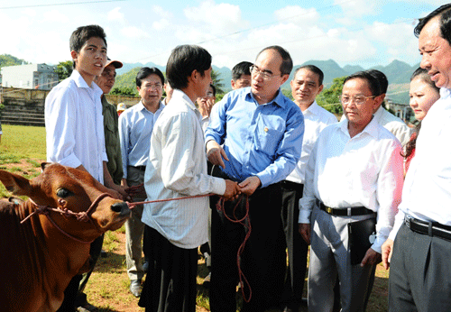 . Chủ tịch Ủy ban Trung ương MTTQ Việt Nam Nguyễn Thiện Nhân trao tặng bò cho bà con nghèo biên giới tại tỉnh Sơn La. (Ảnh: TH)