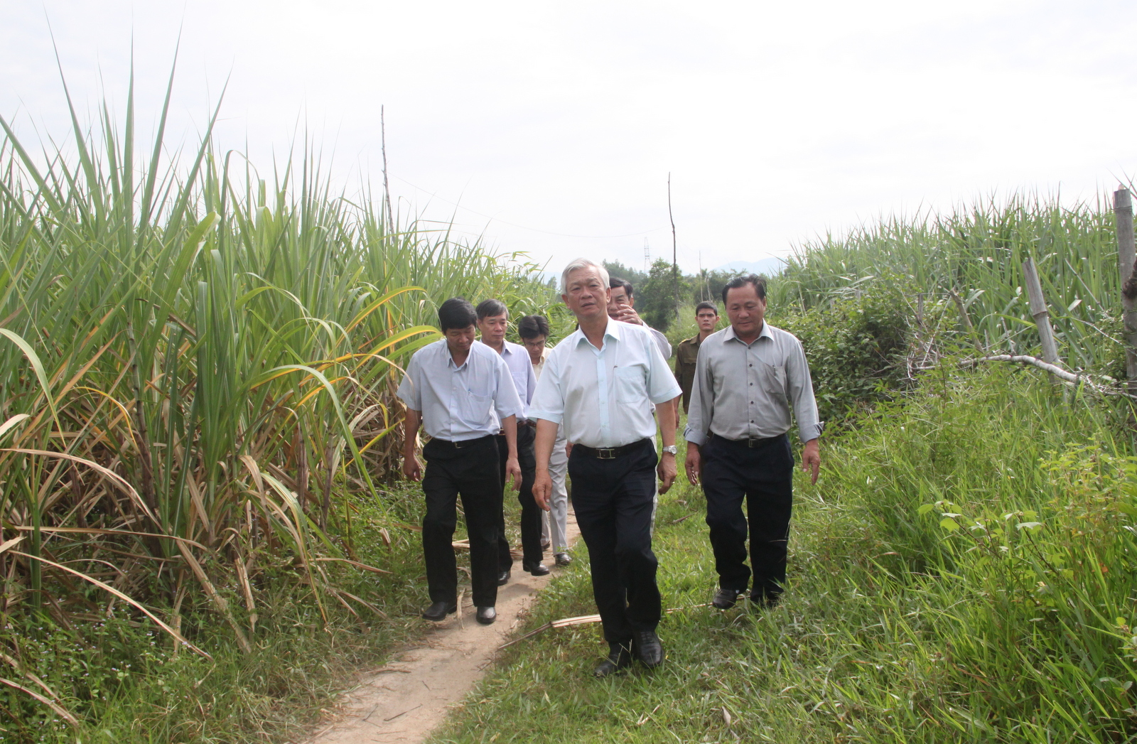 Xã Khánh Trung cần đẩy mạnh việc cải tạo vườn tạp