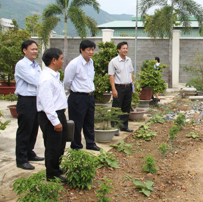 Thu hồi đất sử dụng sai mục đích trong cụm công nghiệp