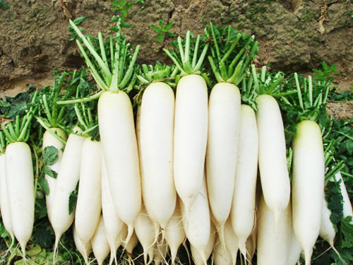 Thực phẩm "đánh tan" mỡ trong cơ thể