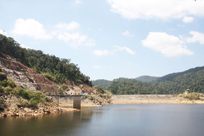 Thúc đẩy hoạt động chăm sóc, bảo vệ rừng