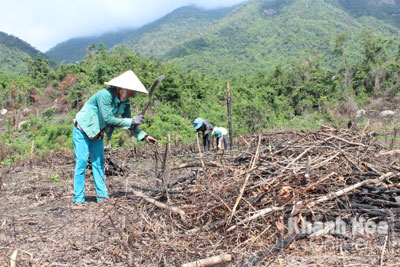 Teo tóp đất rừng Ninh Tây...