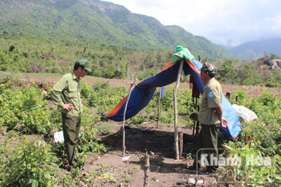 Lán trại của người dân  nằm ngay trong phần đất của Ban quản lý Rừng phòng hộ.