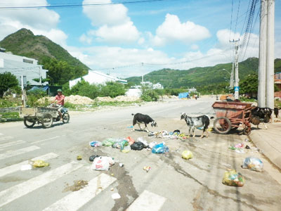 Sao không bỏ rác vào thùng?