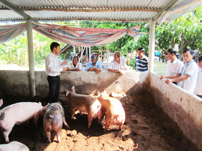 Thích hợp với chăn nuôi hộ gia đình