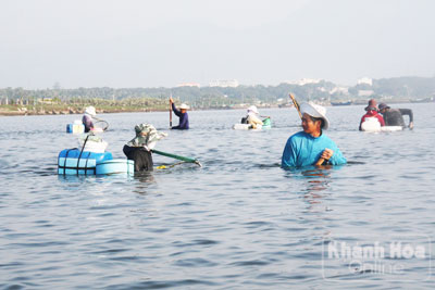 Rủ nhau xuống biển bắt dời...
