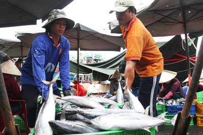 Thành lập 80 tổ, đội đoàn kết sản xuất trên biển