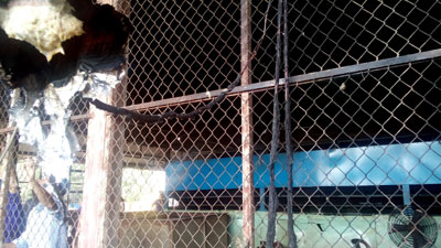 Hệ thống dây dẫn diện bị cháy đen. 