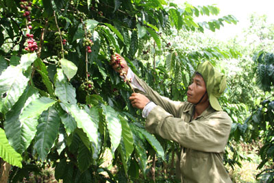 Công tác phát triển đảng ở Khánh Sơn: Nâng cao về lượng và chất