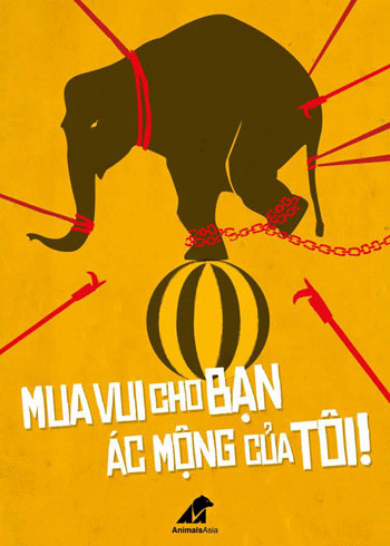 "Cuộc sống của động vật hoang dã trong các rạp xiếc" qua tranh