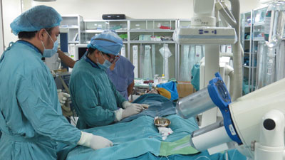 Đã điều trị được những ca khó