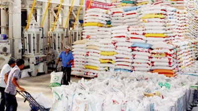 Đẩy mạnh xuất khẩu hàng nông sản sang thị trường Nga