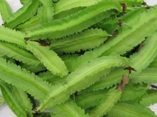 Top 10 loại rau củ giàu canxi