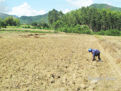 Thiếu nước người dân phải chờ vụ lỡ.