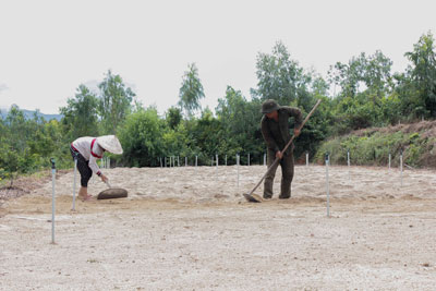 Gia đình anh Hiền đang làm đất chuẩn bị bước vào vụ tỏi.